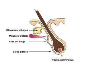 epilazione-img-donna